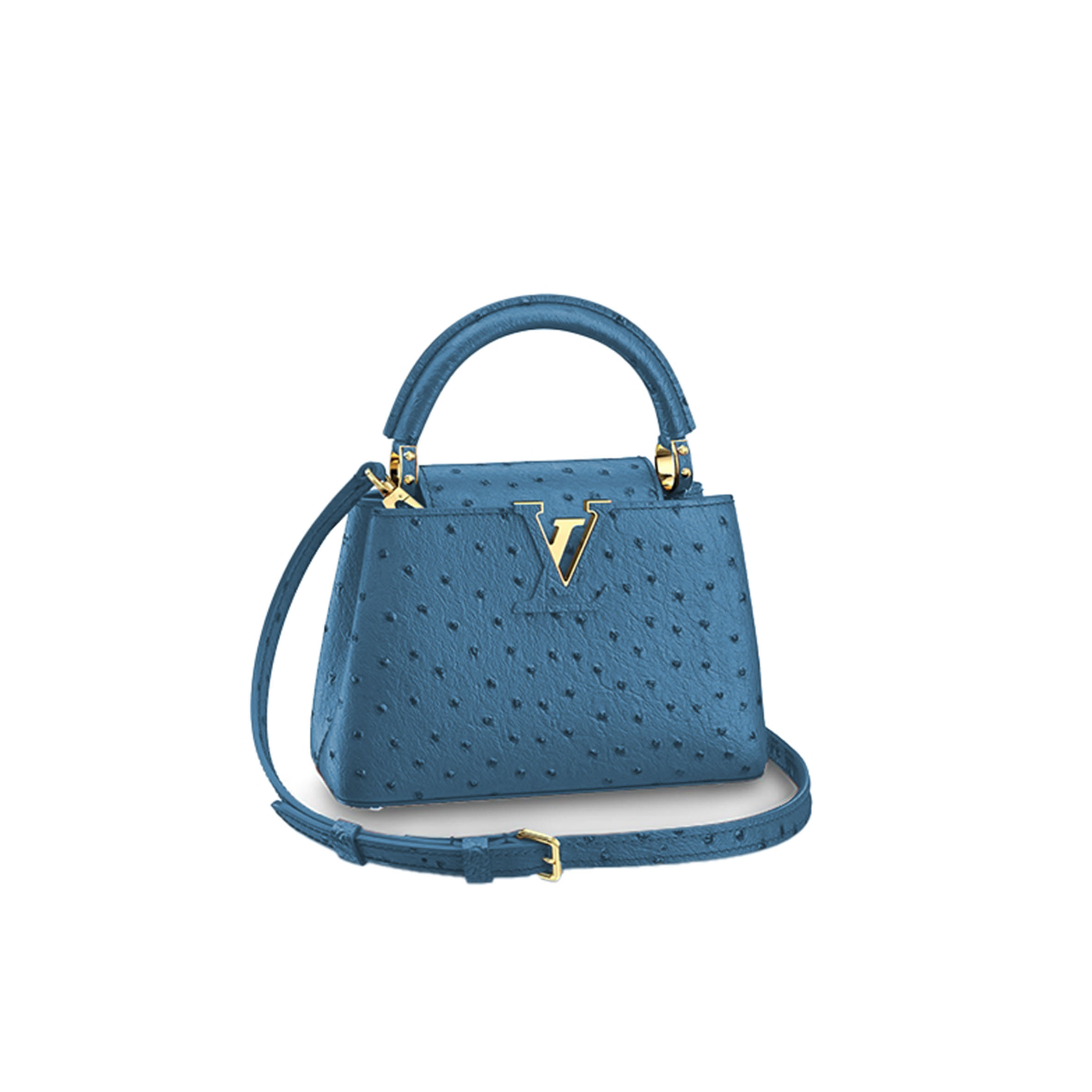 LOUIS VUITTON CAPUCINES MINI M95509 (21*14*8cm) 